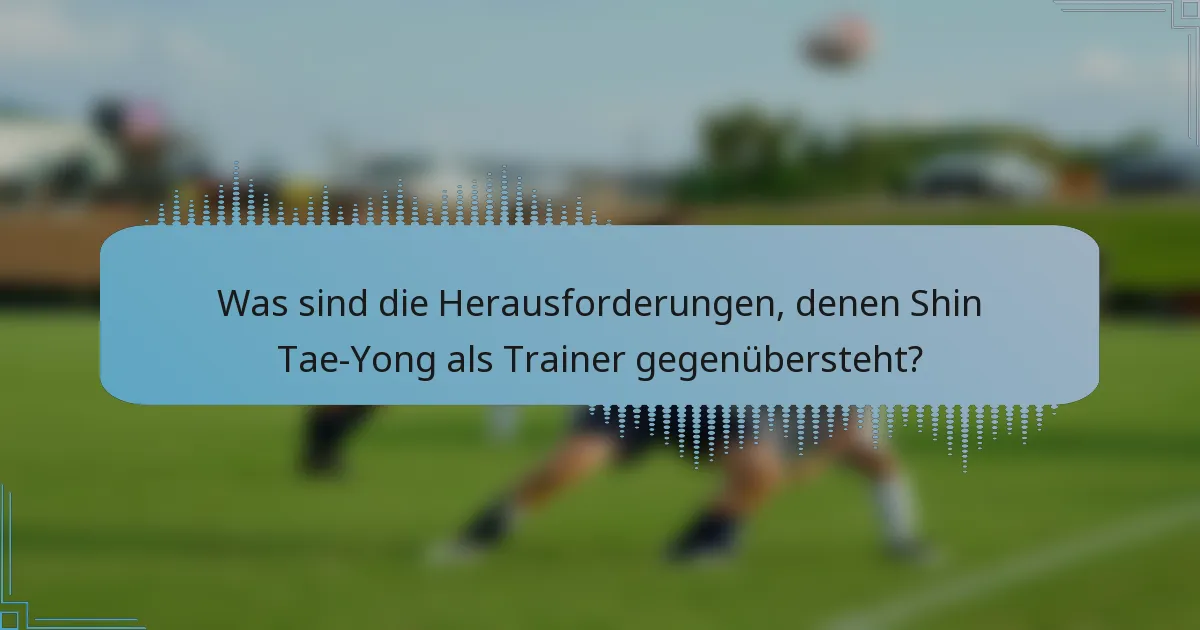 Was sind die Herausforderungen, denen Shin Tae-Yong als Trainer gegenübersteht?